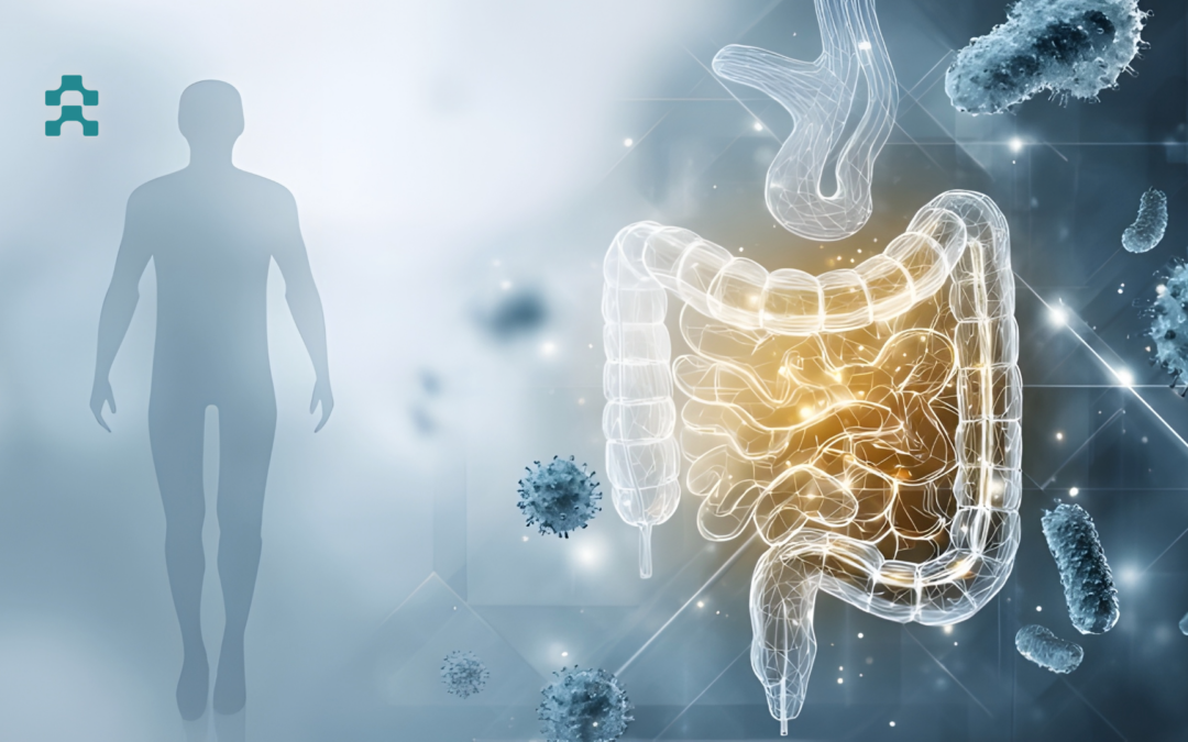 Πόνος στη μέση σας; Η απάντηση μπορεί να κρύβεται στο έντερο!